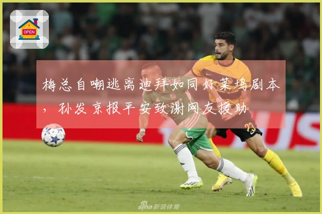 梅总自嘲逃离迪拜如同好莱坞剧本，孙发京报平安致谢网友援助